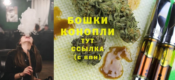 PSILOCYBIN Карпинск