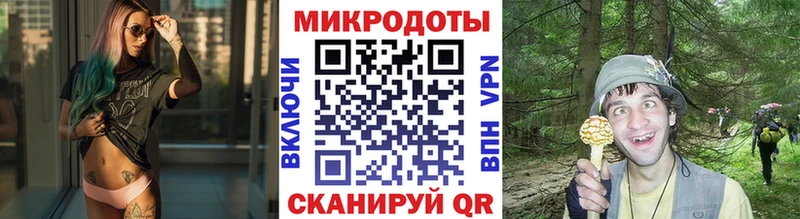 Галлюциногенные грибы ЛСД  Рудня 